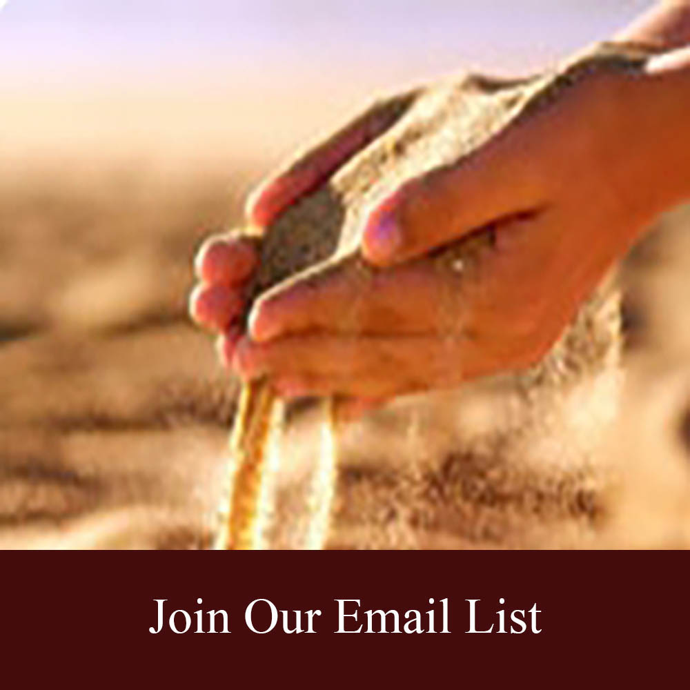 Email List